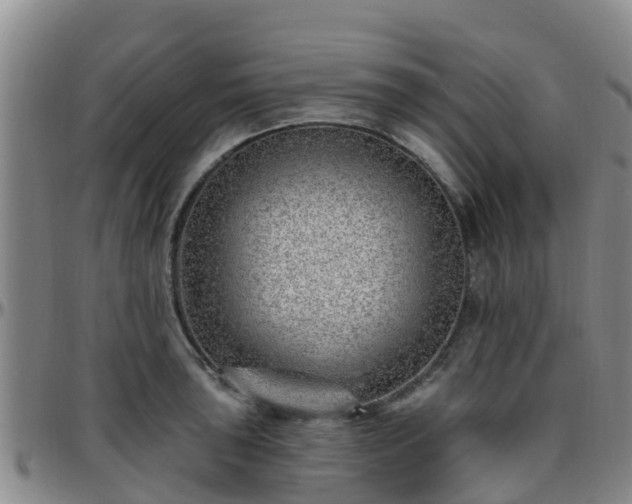 X0000096451043200801311446