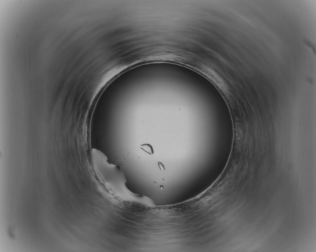 X0000096451044200801311446