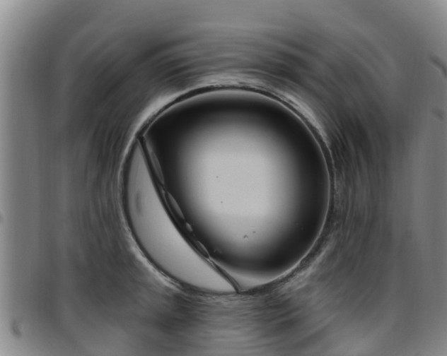 X0000096451045200801311446
