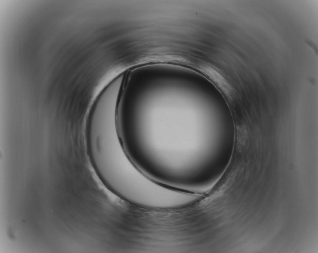 X0000096451046200801311446