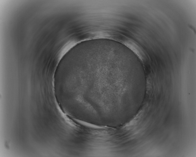 X0000096451047200801311446