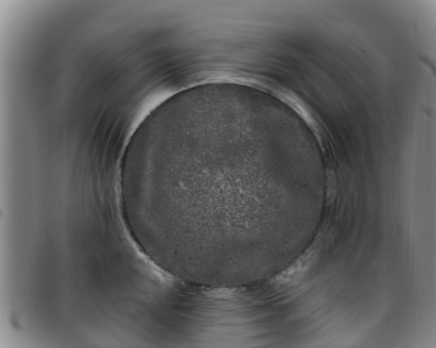 X0000096451048200801311446