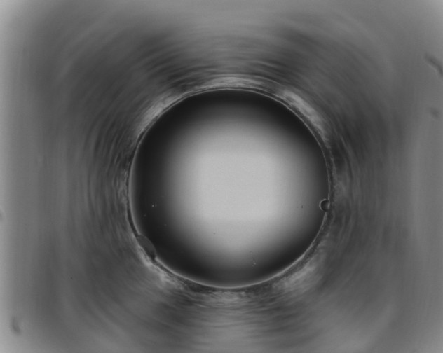 X0000096451049200801311446