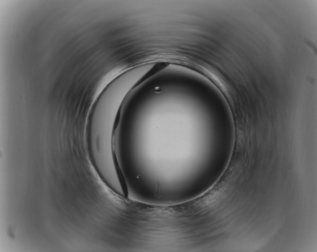X0000096451050200801311446