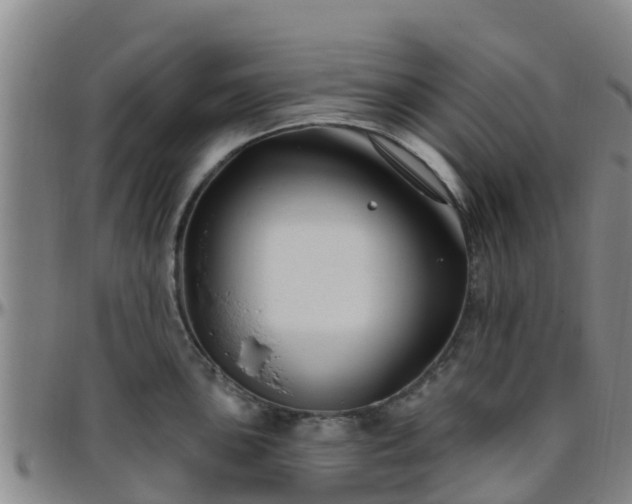 X0000096451051200801311446
