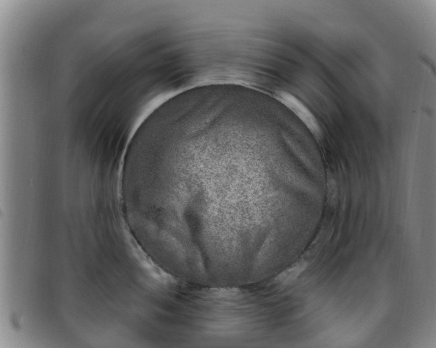 X0000096451052200801311446