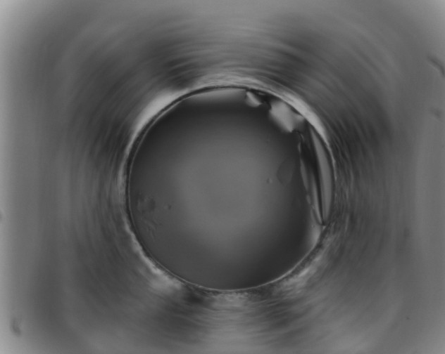 X0000096451053200801311446