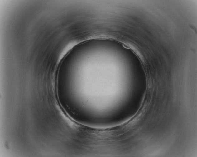 X0000096451054200801311446