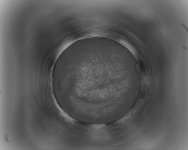 X0000096451055200801311446