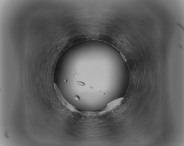 X0000096451057200801311446