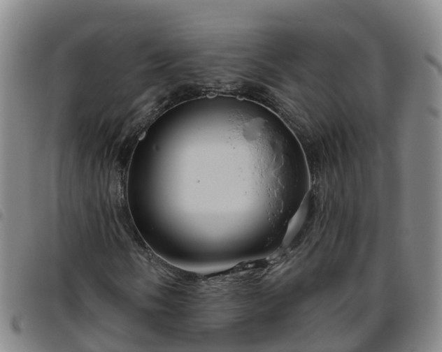 X0000096451058200801311446