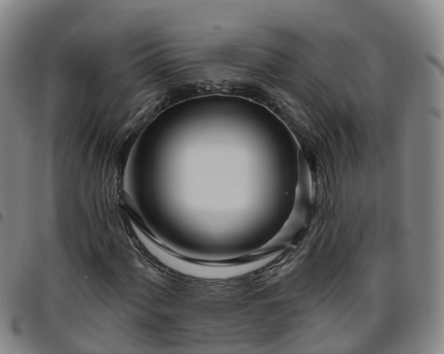 X0000096451060200801311446