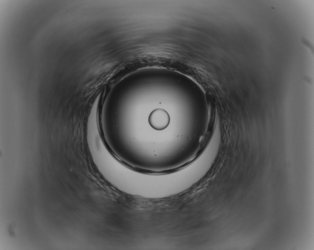 X0000096451061200801311445