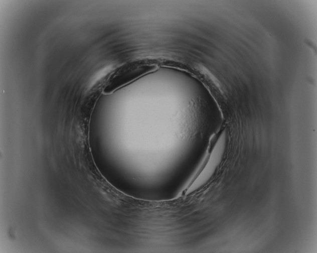 X0000096451064200801311445