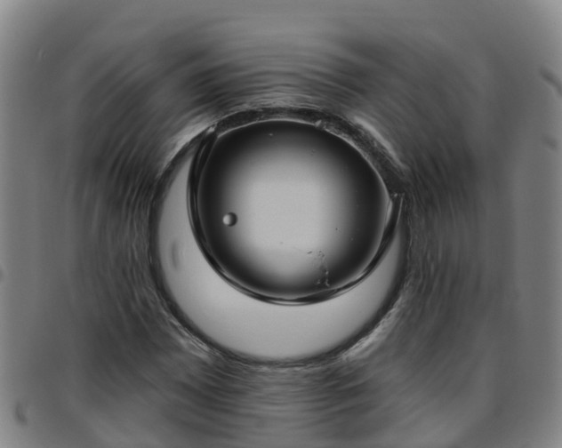 X0000096451065200801311445