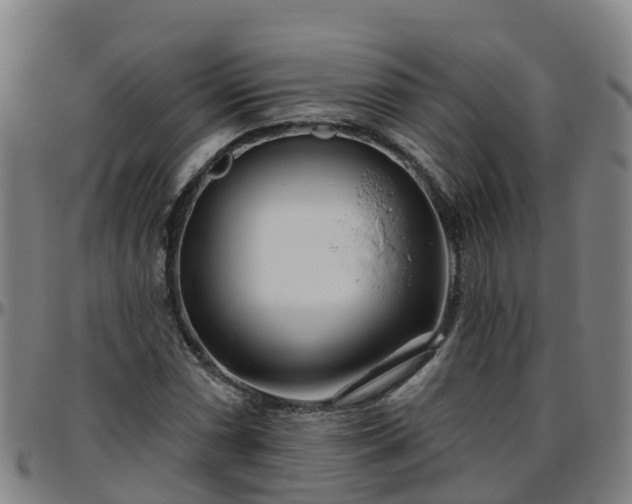X0000096451066200801311445