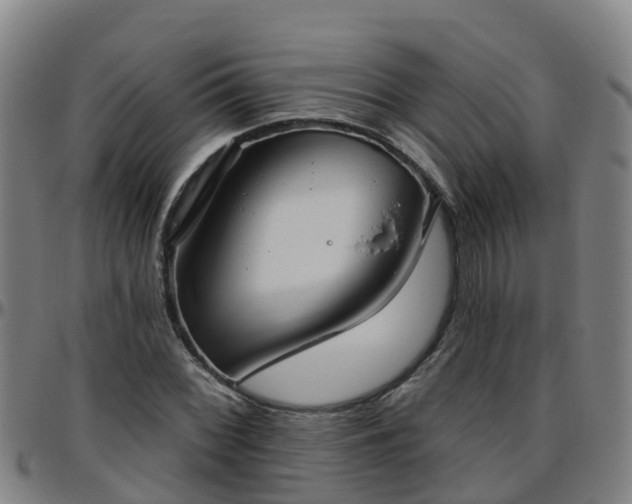 X0000096451068200801311445