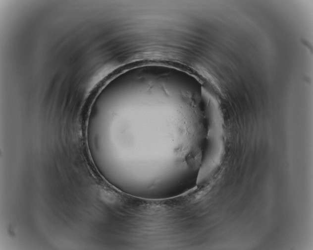 X0000096451070200801311445