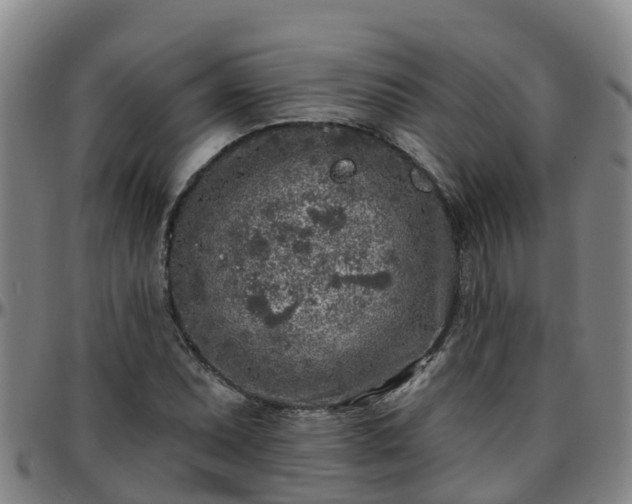 X0000096451071200801311445
