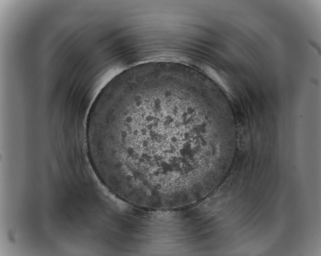 X0000096451087200801311445