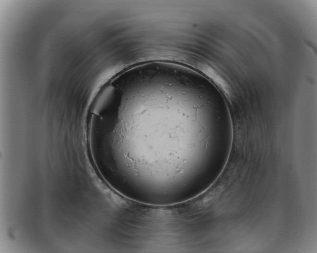X0000096451088200801311445