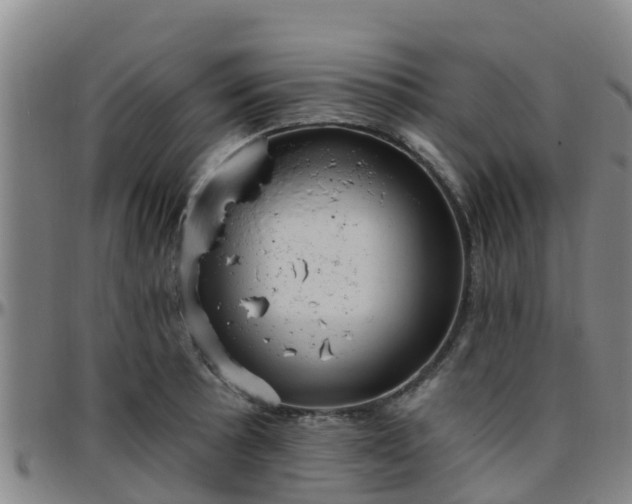 X0000096451089200801311445