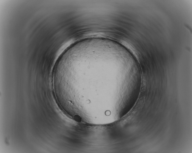 X0000096451090200801311445