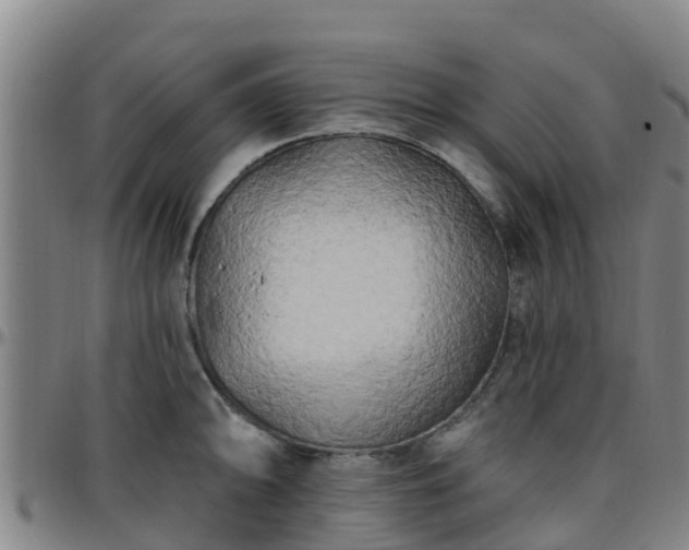 X0000096451094200801311445