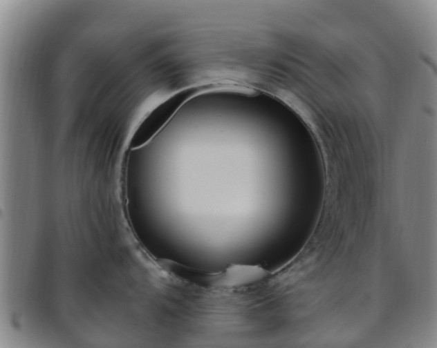 X0000096451104200801311445
