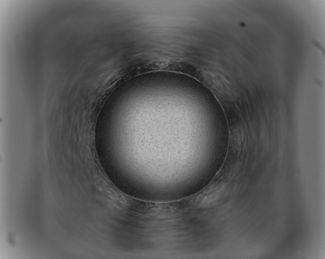 X0000096451105200801311444