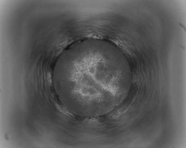X0000096451106200801311444
