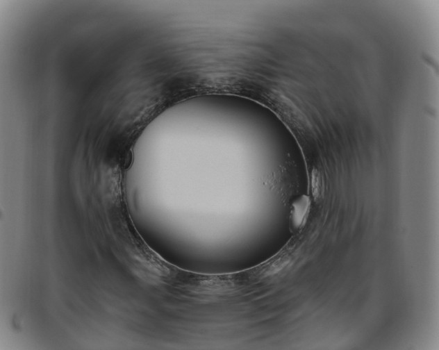 X0000096451107200801311444