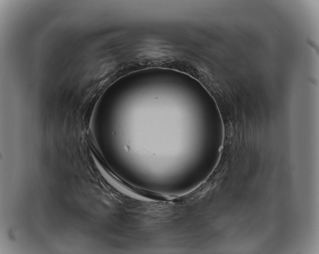 X0000096451109200801311444