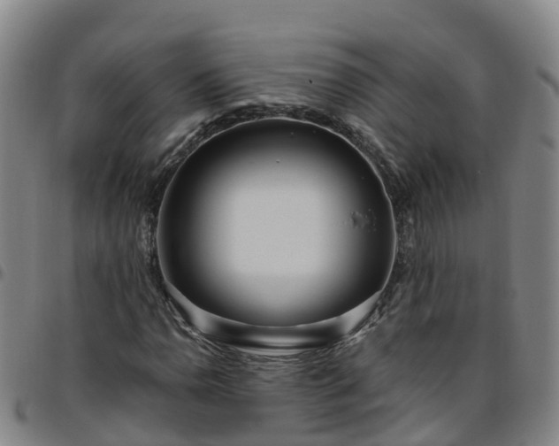 X0000096451110200801311444