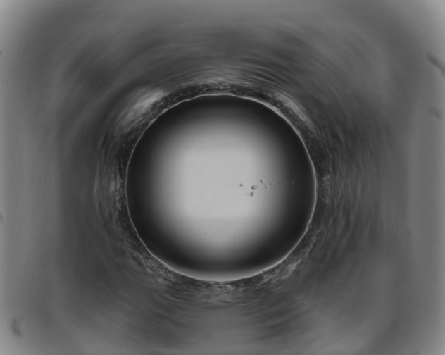 X0000096451111200801311444