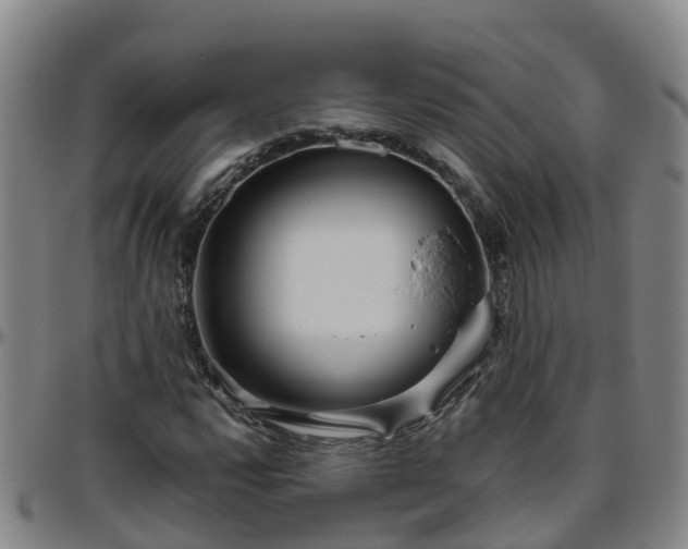 X0000096451112200801311444