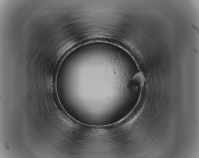 X0000096451113200801311444