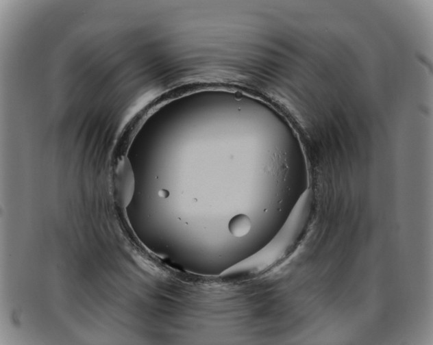 X0000096451114200801311444