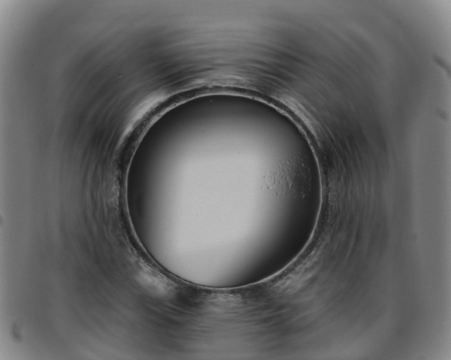 X0000096451115200801311444
