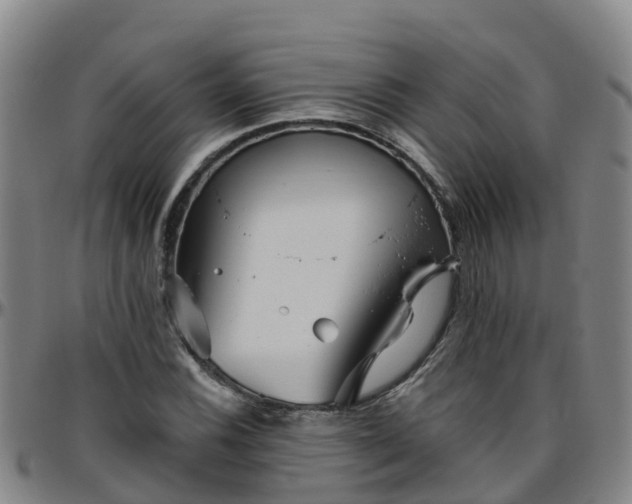 X0000096451116200801311444