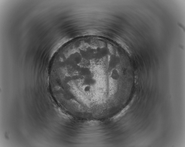X0000096451117200801311444