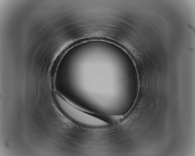 X0000096451118200801311444