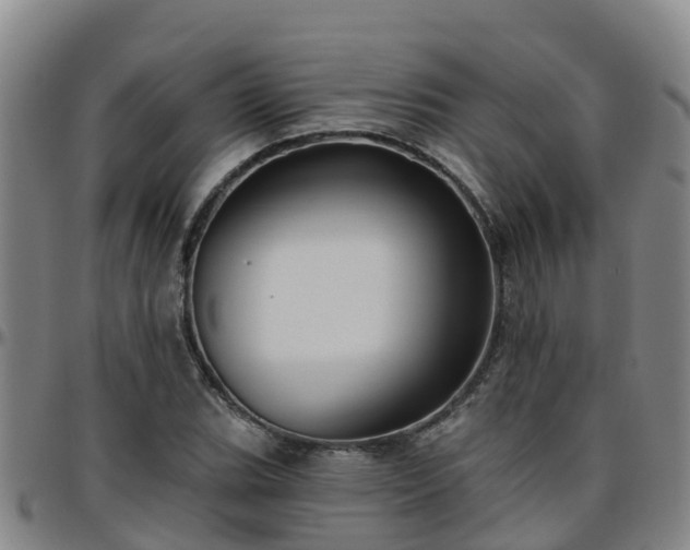 X0000096451119200801311444