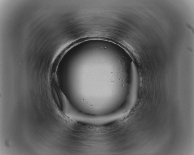 X0000096451120200801311444