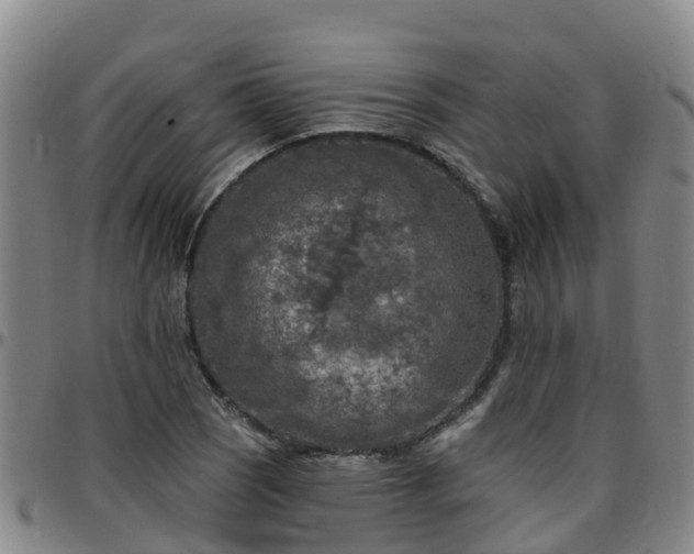 X0000096451121200801311444