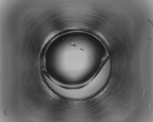 X0000096451122200801311444