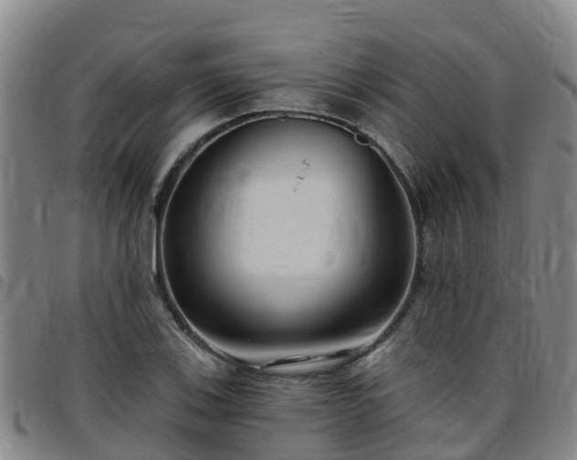 X0000096451123200801311444