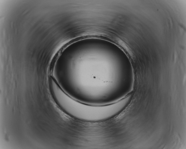 X0000096451124200801311444