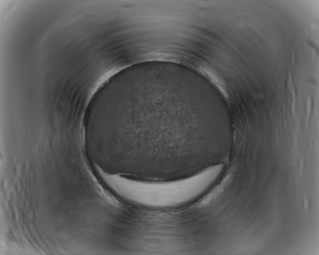X0000096451125200801311444