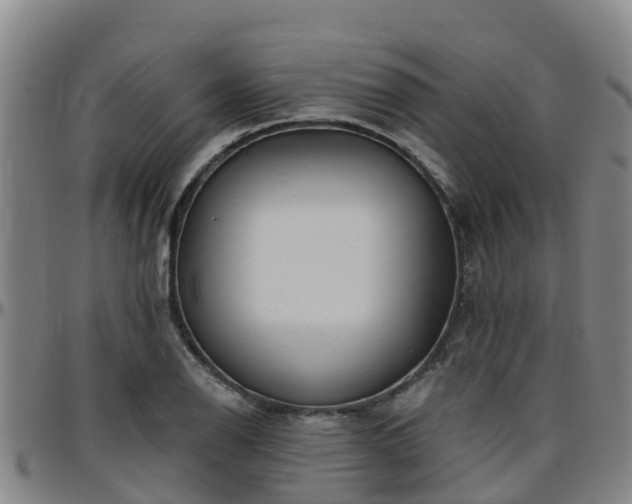 X0000096451126200801311444
